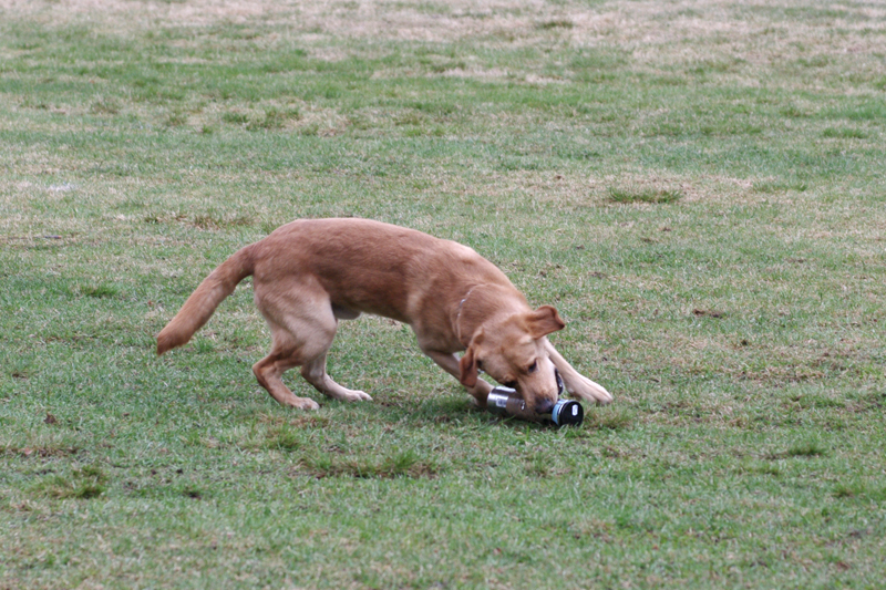 8.5.2010 128c.jpg